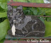 Pine Island Primitives